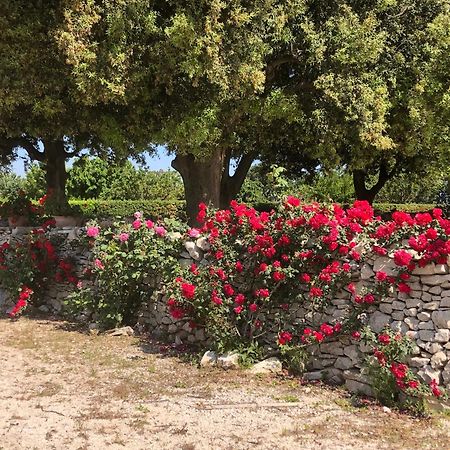 Ai Pilieri Di Bagnoli Villa Castel Del Monte  Exteriör bild