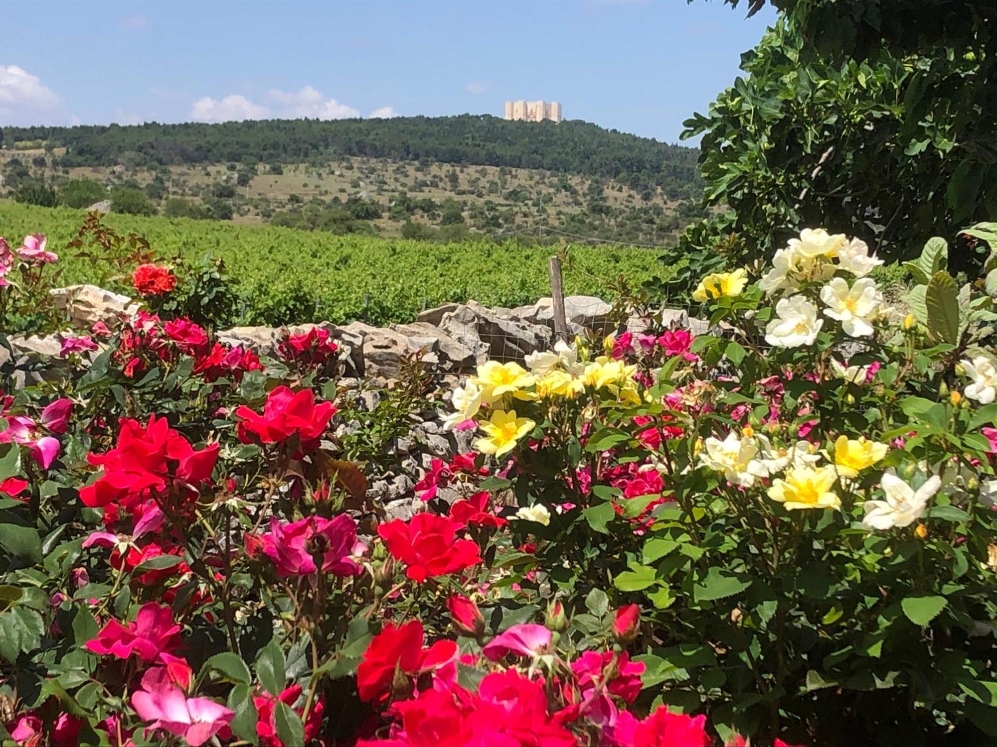 Ai Pilieri Di Bagnoli Villa Castel Del Monte  Exteriör bild
