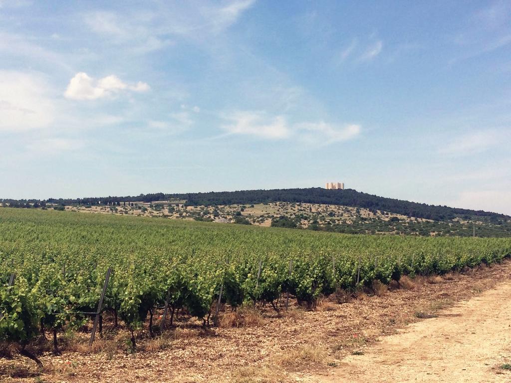 Ai Pilieri Di Bagnoli Villa Castel Del Monte  Exteriör bild